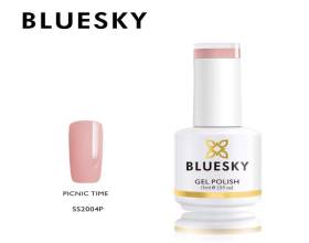 Bluesky Picnic Time